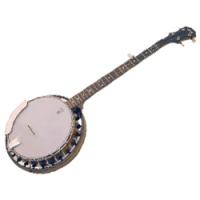 Photo DEERING VEGA BLUEGRASS WONDER - BANJO 5 CORDES