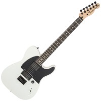 Photo FENDER TELECASTER JIM ROOT FLAT WHITE