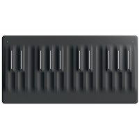 Photo ROLI SEABOARD BLOCK