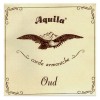 Photo AQUILA NEW NYLGUT OUD TURC