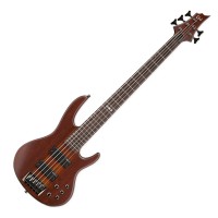 Photo ESP LTD D-5 NATURAL SATIN