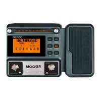 Photo MOOER GE100