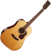 CORT GOLD-D6 NATURAL GLOSS