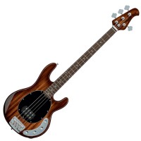 Photo STERLING BY MUSIC MAN RAY34-KOA - KOA TOP