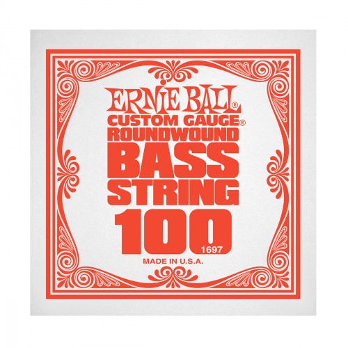 ERNIE BALL DETAIL 1697 BASS 100