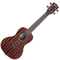 KALA KA-EBY-C CONCERT STRIPED EBONY