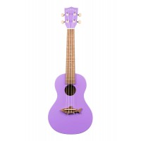 Photo KALA MAKALA SHARK CONCERT SEA URCHIN PURPLE