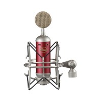 Photo BLUE MICROPHONES SPARK SL