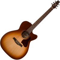 Photo SEAGULL ENTOURAGE AUTUMN BURST CH CW A/E + HOUSSE