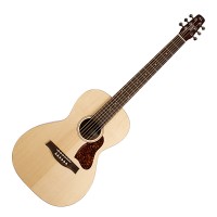 Photo SEAGULL ENTOURAGE GRAND NATURAL A/E + HOUSSE