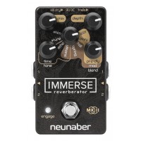 NEUNABER TECHNOLOGY IMMERSE REVERBERATOR MKII