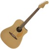 Photo FENDER REDONDO PLAYER BRONZE SATIN