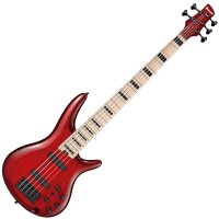 IBANEZ ANB205TWB - TRANSPARENT WINE RED BURST