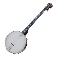 Deering Artisan Goodtime 19-Fret Tenor - Banjo 4 Cordes