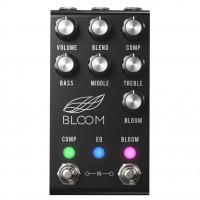 JACKSON AUDIO BLOOM V2