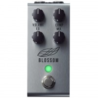 Jackson Audio Blossom