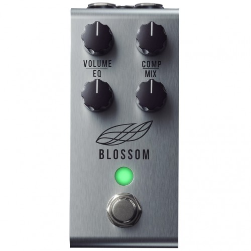 JACKSON AUDIO BLOSSOM