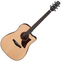 IBANEZ ADVANCED ACOUSTIC AAD300CE-LGS