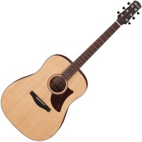 Ibanez Advanced Acoustic AAD100 Open Pore Natural