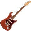 Photo FENDER PLAYER PLUS STRATOCASTER AGED CANDY APPLE RED PF