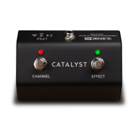 Line 6 FS2 Footswitch Catalyst