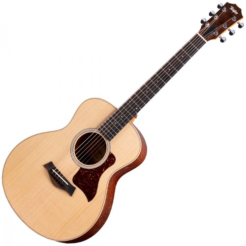 TAYLOR GS MINI-E QS LTD