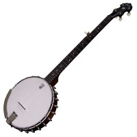 DEERING VEGA LITTLE WONDER - BANJO 5 CORDES