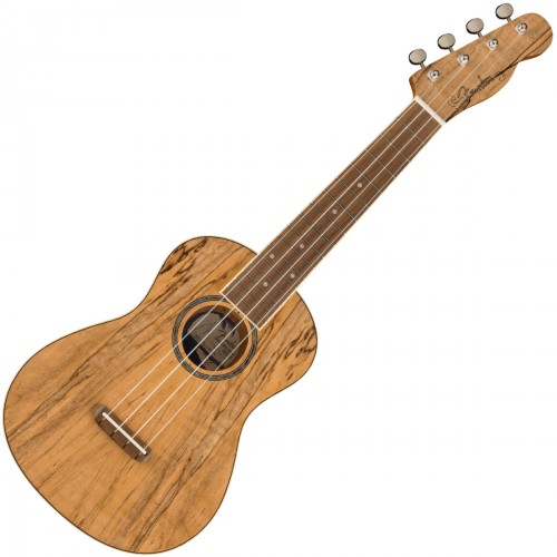 FENDER UKULELE ZUMA EXOTIC CONCERT SPALTED MAPLE