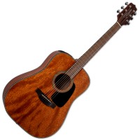 TAKAMINE GLD11E-NS SATIN NATURAL