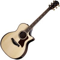 TAYLOR 814CE BUILDER'S EDITION