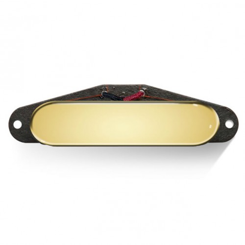 BARE KNUCKLE BOOT CAMP BRUTE FORCE TELE NECK GOLD COVER