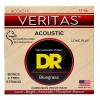 Photo DR STRINGS VERITAS ACOUSTIC BLUEGRASS 12-56