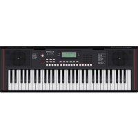 ROLAND EX-10