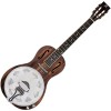 Photo Ortega Americana Series Resonator RRG30E Acajou Whiskey Burst