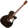 Photo Art & Lutherie Legacy Faded Black CW Presys II