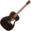 Photo Art & Lutherie Legacy Faded Black Presys II