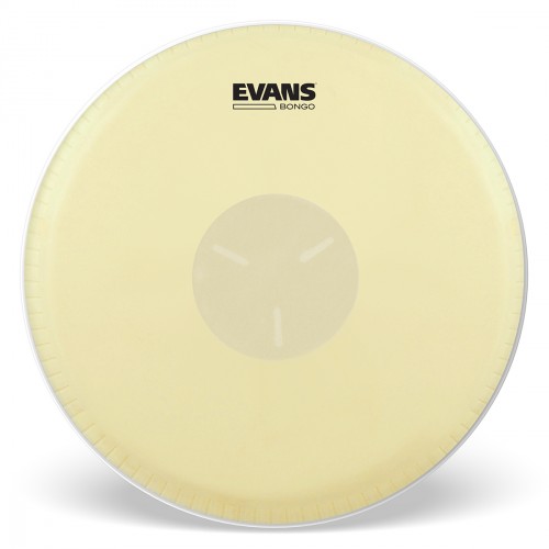 evans eb07 - tri-center peau bongo 7 1/4