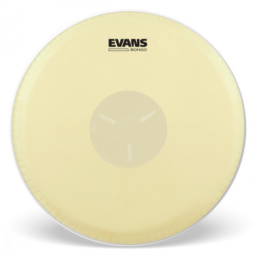 EVANS EB07 - TRI-CENTER PEAU BONGO 7 1/4