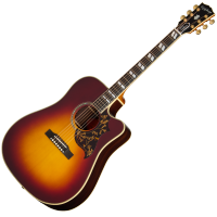EPIPHONE HUMMINGBIRD 12 CORDES