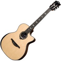 LAG HV50NACE HyVibe 50 Nylon Auditorium Cutaway Electro