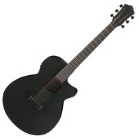 Ibanez AEG621 Black Out