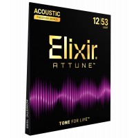Elixir 21052 Folk Attune Phosphor Bronze L 12-53