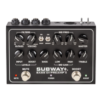 Mesa Boogie Subway+ Bass DI-Preamp II