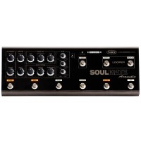 T-Rex SoulMate Acoustic