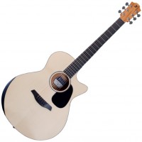 Furch Violet Deluxe GC-EM LR Baggs EAS-VTC