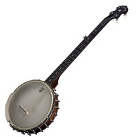 DEERING VEGA SENATOR - BANJO 5 CORDES